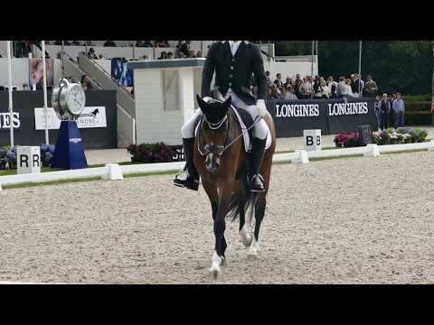 Hesselhoej Donkey Boy at CH-M-D YH Final for 5 year old horses
