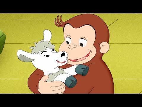 Jorge el Curioso en Español 🐵El Negocio de Jorge y Allie 🐵 Capitulos completos del Mono Jorge