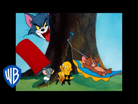 Tom y Jerry en Latino | Dibujos animados clásicos 102 | WB Kids