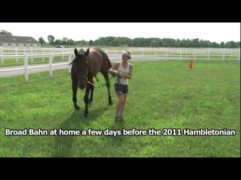 2011 Eye on Harness Racing - 09-29-11