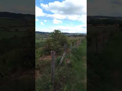 primeira florada dos cafezais na zona rural de Cabo Verde-MG!#minasgeraisbrasil#vidanaroça#fazenda