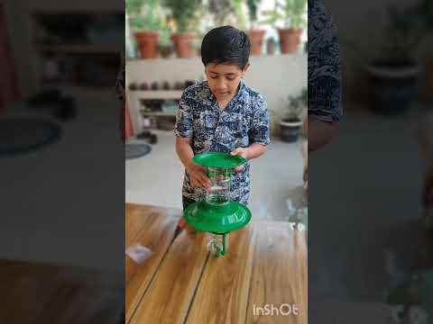 #Birds#bird home#Maneet's dictionary#Maneetkale9782🕊️🕊️