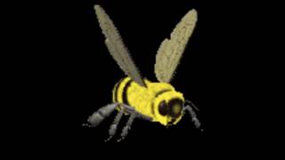 Cover art for The Entire bee movie script