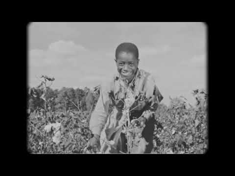 Die Aeronauten - Ching Ching Wong (Crazy Americans)