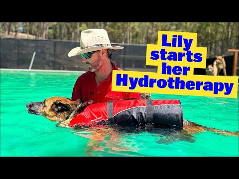 , title : 'Lily starts her Hydrotherapy | Luke talks about Life after the Military'