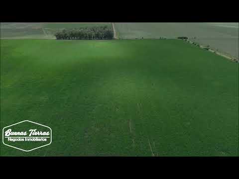 Venta, 133 Has. Villa Rossi, Córdoba, República Argentina.