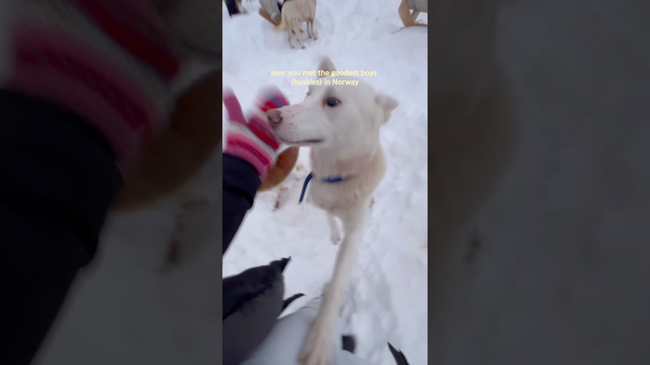 YouTube Short thumbnail