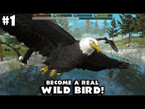 Ultimate Bird Simulator By Gluten Free Games - Android/iOS - Gameplay Part 1 - YouTube