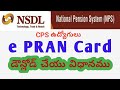 How to Download e PRAN Card in Telugu | CPS Employees PRAN CARD | e PRAN CARD print
