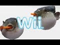 Pufferfish eats carrot and sings the Mii Channel Theme meme