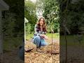 Chop Fruit Trees + Make a Mini Orchard #plantingtrees #fruittrees #orchard #growingfood