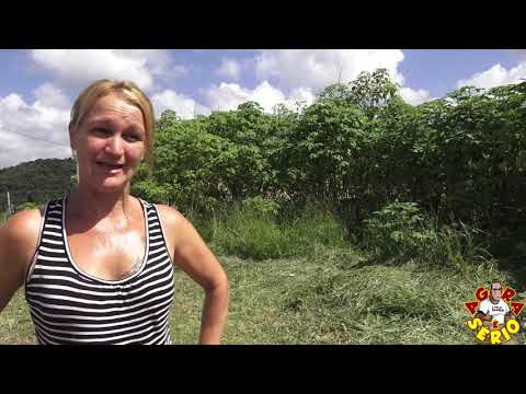 Moradora do Morro do cachorro sem pelo na Favela do Justinos não aguenta mais conviver com o descaso do mini lixão do Prefeito Ayres Scorsatto