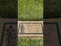 Grave of Bela Lugosi: The original Dracula #HolyCrossCemetery #dracula