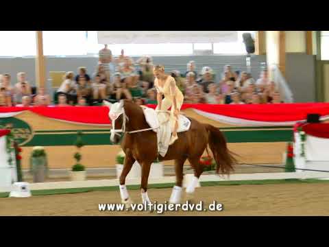 Katharina Luschin (AUT) - FEI Senior EC Ebreichsdorf 2017 - Female 05