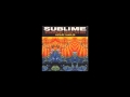 Sublime - 91 Freestyle