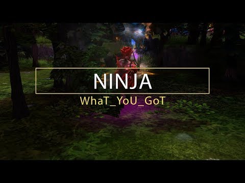Ninja Featuring WhaT_YoU_GoT (Silhouette)
