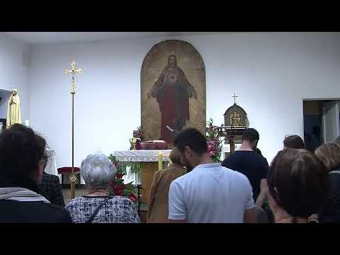 Sveta misa - Ponedjeljak , 15.6., Bazilika Presvetog Srca Isusova (p. Marijan Steiner)