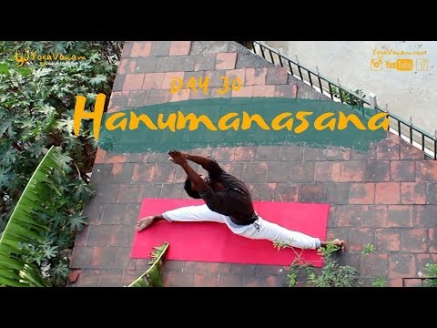 108 vinyasa flow I 108 Days I Day 30 Hanumanasana I Monkey Pose