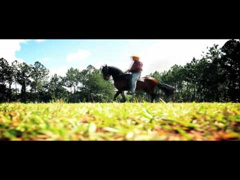 Joseph Fonseca - Caballito De Palo - Video Remix By Dvj Moster Zambrano
