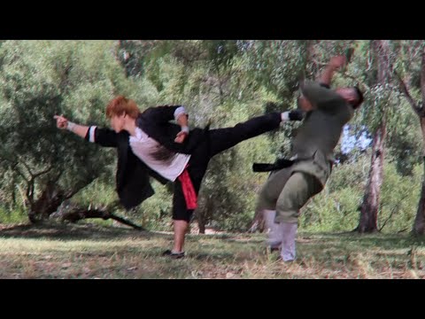 DRUNKEN FIST VS PRAYING MANTIS KUNG FU