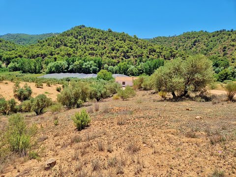 AX165 - Casita Turillas, Jayena