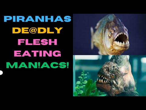 Piranhas-Deaddly Flesh eating TERR0R! #wildanimals #wildlife #animals #sea #piranha #fish #shark
