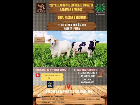 Leilao Sindicado Rural de Lagamar e Amigos  11-12-2025