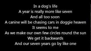 Dog Years Music Video