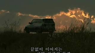 신성리 갈대밭 / YTN (Yes! Top News)