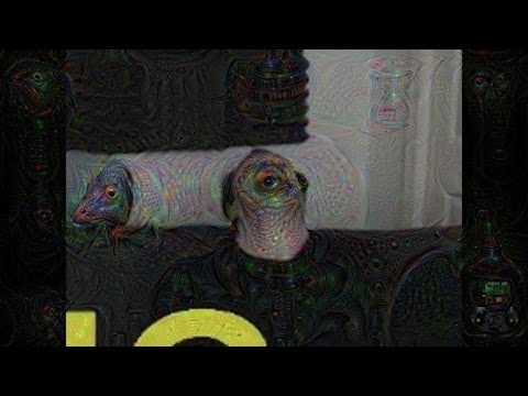 DSP Tries It: DSPisms DSPorgasisms