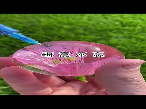 空城悔意小説