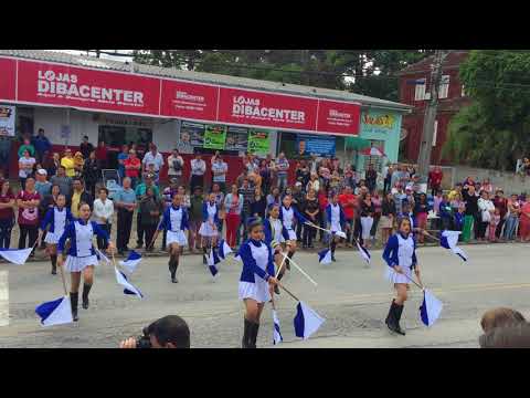 Banda municipal de campo do tenente pr (professor marcos aurelio do rosario)