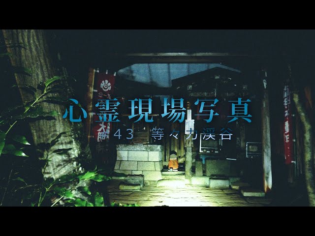 43 心霊現場写真 等々力渓谷 全国心霊スポット調査 心霊気違 Shinreikichigai 43 心霊現場写真 等々力渓谷 全国心霊スポット調査 心霊気違 Shinreikichigai