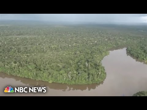 4 children found alive 40 days after plane crashed in Amazon jungle