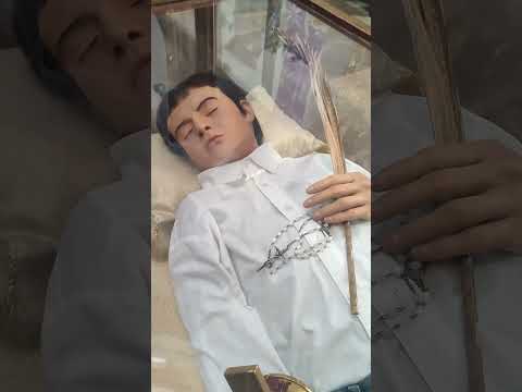 San José Sánchez del Río pequeño mártir de la guerra cristera - Viva Cristo Rey 🙏