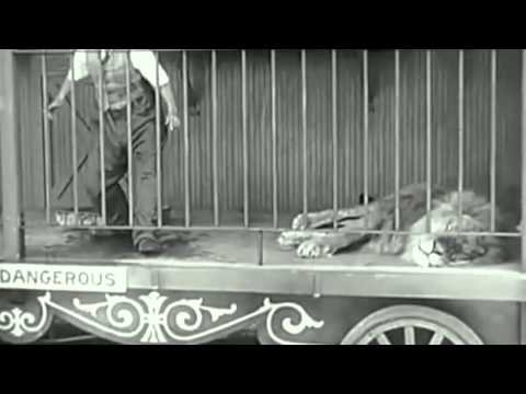 Young Music Academy - Musiche di Stefano Gargiulo