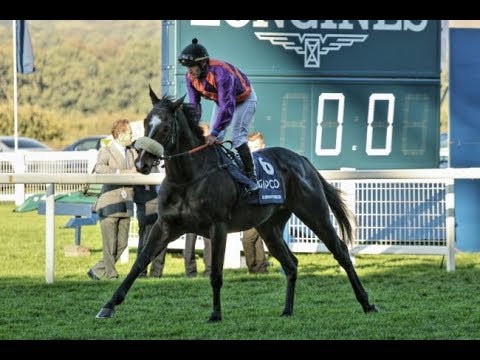 Radek Koplík: Všetko ho naučila Ingrid, ja sa len veziem