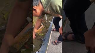 Download lagu Little Boy Nyeser Ornamental Betta Fish In Front Of Residents' Houses There Are Lots Of Betta Fis... mp3 Download lagu Little Boy Nyeser Ornamental Betta Fish In Front Of Residents' Houses There Are Lots Of Betta Fis... mp3