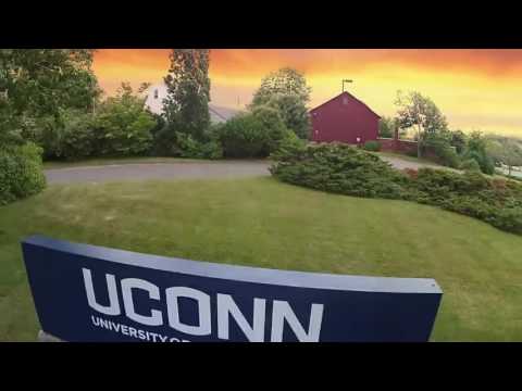 I'm Shmacked: University of Connecticut