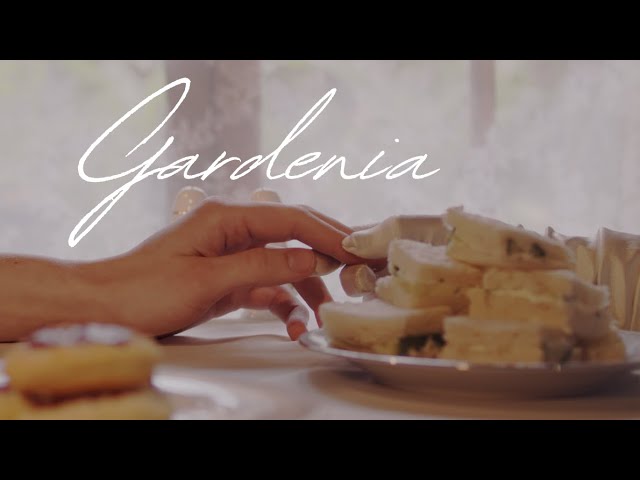 Gardenia