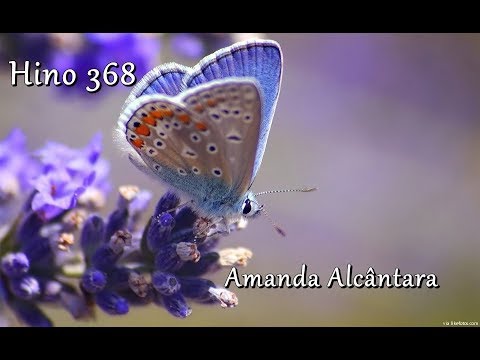 Hino 368 - Deus nos elegeu para Si - Amanda Alcântara