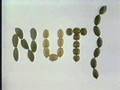 Classic Sesame Street Animation NUTS