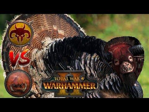 Beastmen vs Greenskins | THE TURKEY OMEN - Total War Warhammer 2