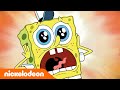 SpongeBob | Meneer Krabs verliest z'n schild! | Nickelodeon Nederlands