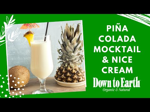 Piña Colada Mocktail e Piña Colada Nice Cream | Aula de culinária ao vivo no Havaí | À base de plantas