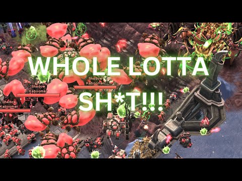 SURVIVAL MODE on TEMPLE OF THE PAST (Starcraft II co-op)