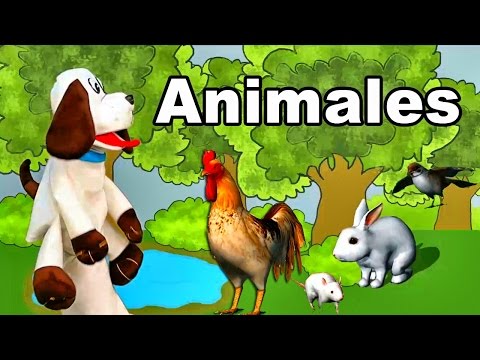 Toby y Los Animales - Sonidos de los animales - Melodías para Dormir y Relajar - Estimulación