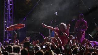 Tripping Daisy   Homegrown 8   2017 - 19 My Umbrella