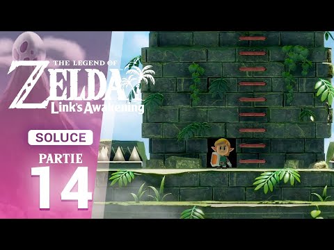 Soluce Link's Awakening (Switch) – Étape 14 : La Tour du Vautour