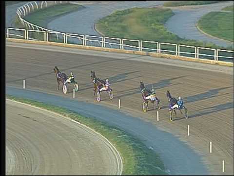 Trotto 25/09/2016 - prova di qualifica